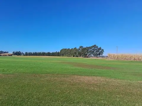 Venta terrenos, inversor cerca Ruta 8 y 102 