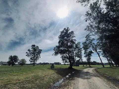 Terreno en Venta de 1000,0 m2