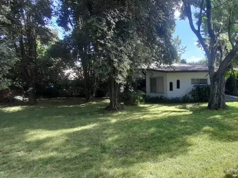 Gongora 500