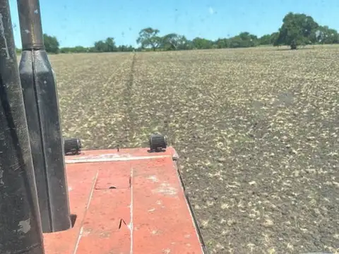 Campo Mixto Villaguay