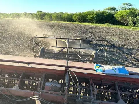 Consultar dirección