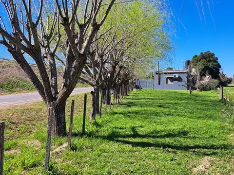 Casa - Venta - Argentina, Mercedes - RUTA 5 1405