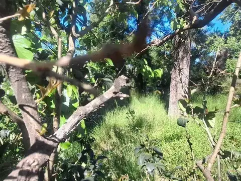 Lote 5000 m² sobre Avenida en Hurlingham – Ideal Depósito, Corralón o Emprendimiento