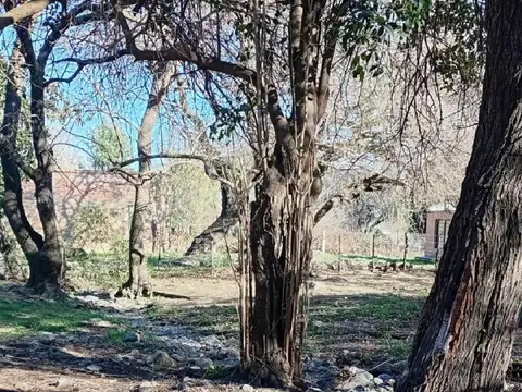 Terreno en Venta de 1800,0 m2