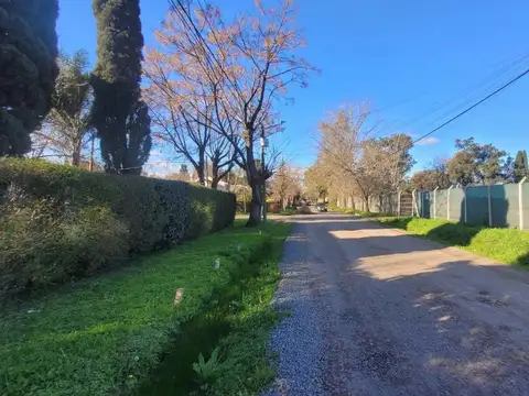 San Ignacio 1200