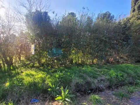 Terreno en Venta de 310,0 m2