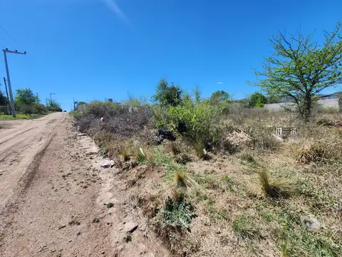 Lanjaron 100