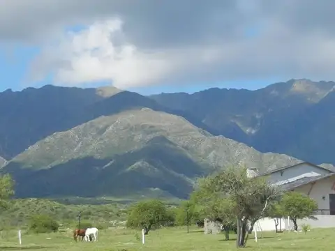 Terreno en Venta de 1023,0 m2