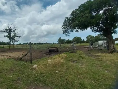 Terreno en Alquiler de 110000,0 m2