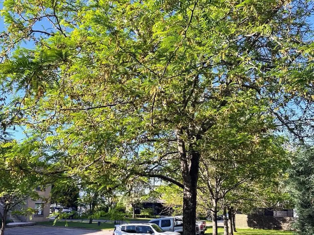 Alquiler Departamento en Estancias del Río Año Nuevo y Enero 2026. - Foto 20