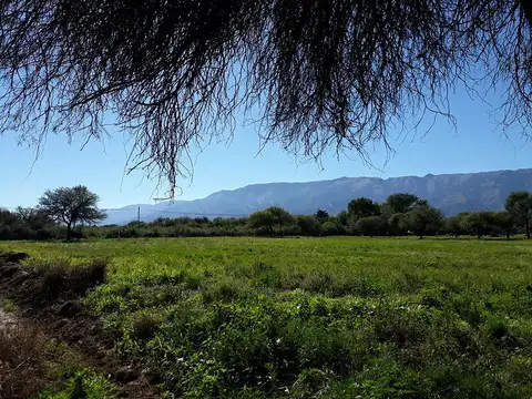 ULTIMOS LOTES, TERRENOS EN VENTA, QUINTAS DEL TOMERO, MERLO, S.L.