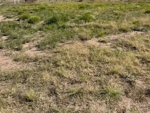 Terreno en Borges y Lope de Vega, Bº Nueva Vista 