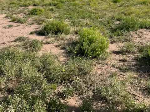 Terreno en Borges y Lope de Vega, Bº Nueva Vista