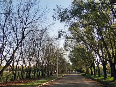 LOTE EN VENTA EST. LAS MORAS-RICARDONE FINANCIADO