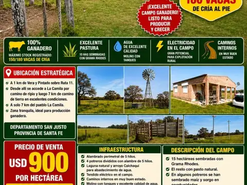 Venta Campo Ganadero UBICADO A 7 KM DEL PUEBLO LA CAMILA Vera Y Pintado 462 Ha U$$ 900 / Hectárea.