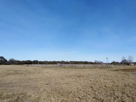 Campo en Venta Ganadero