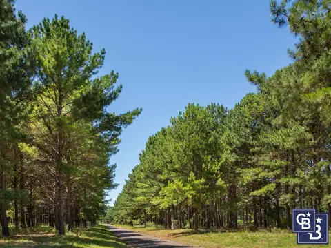 Terreno en Venta en Los Pinares Country Club, USD 60.000