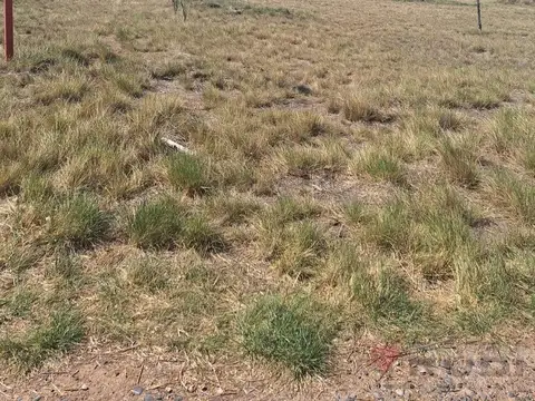 TERRENO EN VENTA EN GENERAL FERNANDEZ ORO RIO NEGRO