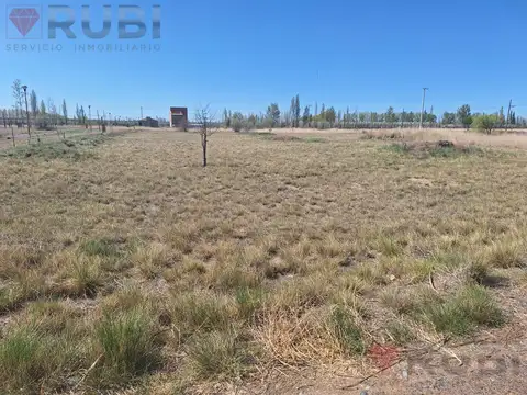 TERRENO EN VENTA EN GENERAL FERNANDEZ ORO RIO NEGRO