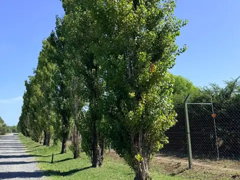 Lote en Chacras De La Reserva