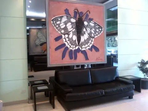 Mtro. A. D´Elia 800