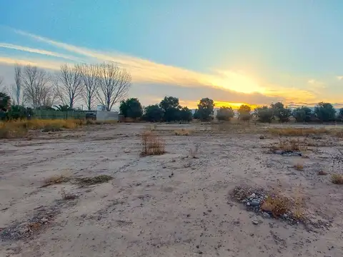 Gran Terreno en Venta - Maipú - Mendoza