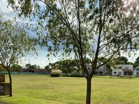 Harás del Sur II