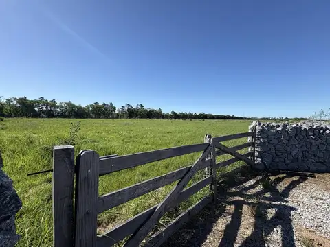 chacra de 10.000 m2 , en Chacras de Zelaya