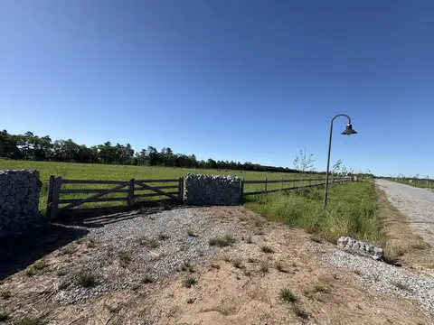 Luis Tagle , Zelaya, Provincia de Buenos Aires al 5700