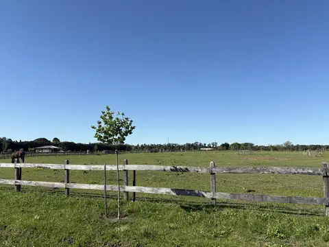 chacra de 10.000 m2 , en Chacras de Zelaya