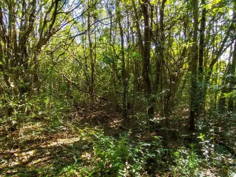 Terreno de 9.316 m2 en Venta en el Radial Rosario