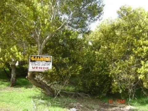 Terreno - Venta - Argentina, Mar Azul
