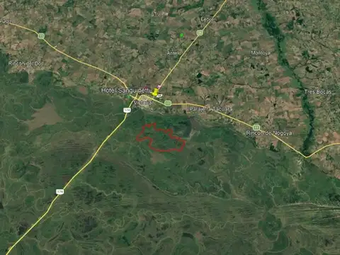 Campo de isla en alquiler - 3800 has - muy buena ubicacion