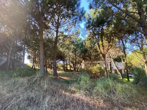 Terreno en Venta en Barrio Residencial 1, USD 95.000