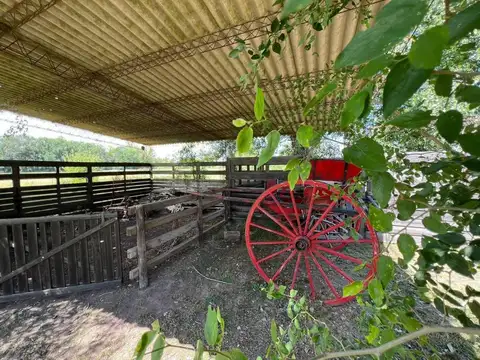Campo en Alquiler de 2  ha