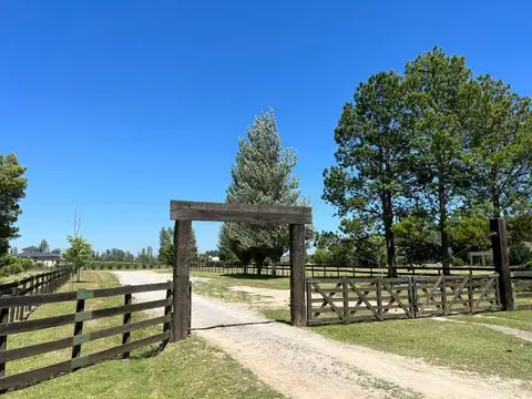 Campo en Alquiler Chacra
