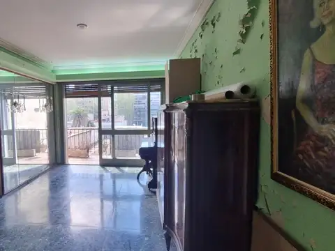 Camacuá 100