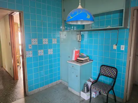 Camacuá 100