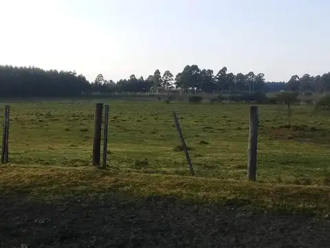 Campo en Venta de 27  ha