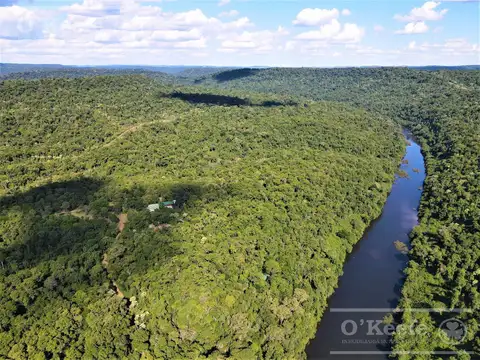 Grandes extensiones de Bosque Nativo en Misiones - Generación de Bonos verdes
