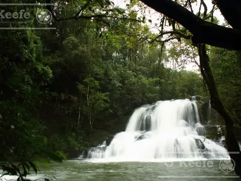 Campo en venta de 84.000 has en Misiones - Bonos Verdes