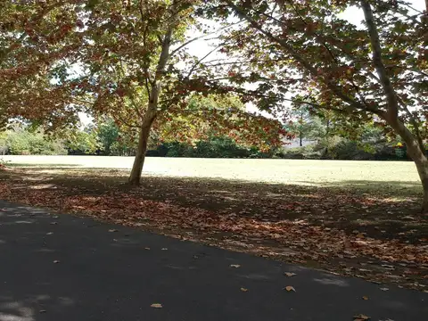 Lote en venta en San Jorge village de 3009.00 m² - Teresa Urdapilleta Propiedades