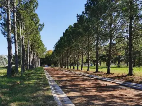Terreno en Venta de 375,0 m2