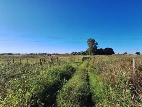 Camino Secundario 082-07