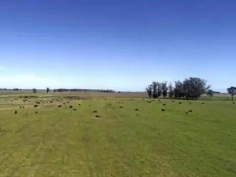 Campo en venta - 4.150.000Mts2 - Mar Chiquita