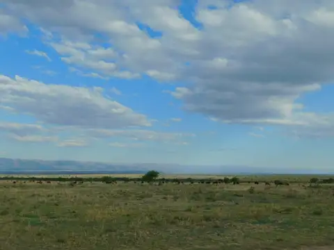 Campo 1000 has en venta a 6 km de Santa Rosa, San Luis