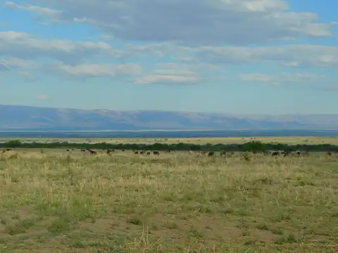 Campo en Venta en Estacion Conlara, Santa Rosa de Conlara