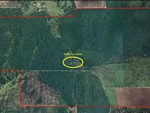 CAMPO 1075 HECTÁREAS LOS JURIES SANTIAGO DEL ESTERO