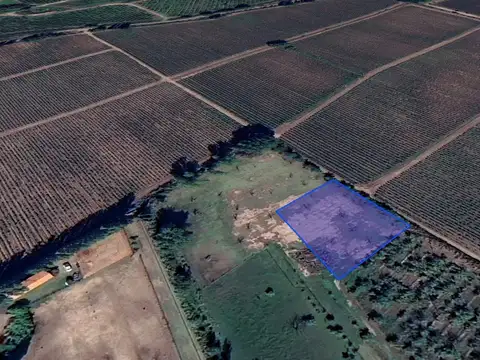 Terreno en Venta de 2000,0 m2