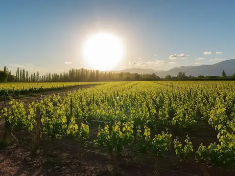 Roque Saenz Peña al 8000
